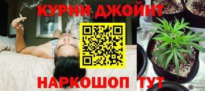 ГАЛЛЮЦИНОГЕННЫЕ ГРИБЫ Аргун