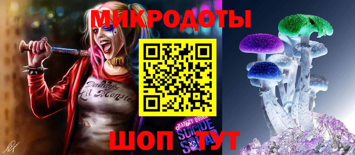 Галлюциногенные грибы Psilocybe  Артём 